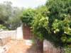 Photo Number 4