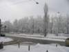 Photo Number 9